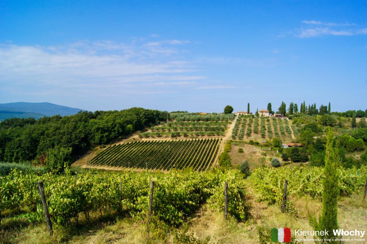 Chianti czyli najpiękniejszy fragment Toskanii. Miasteczka, winnice, punkty widokowe (fot. Łukasz Ropczyński, kierunekwlochy.pl) Chianti czyli najpiękniejszy fragment Toskanii. Miasteczka, winnice, punkty widokowe (fot. Łukasz Ropczyński, kierunekwlochy.pl)