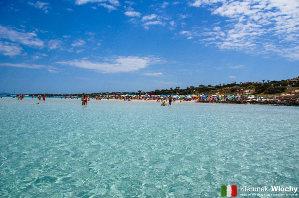plaża La Pelosa, Sardynia, Włochy (fot. Łukasz Ropczyński, kierunekwlochy.pl)