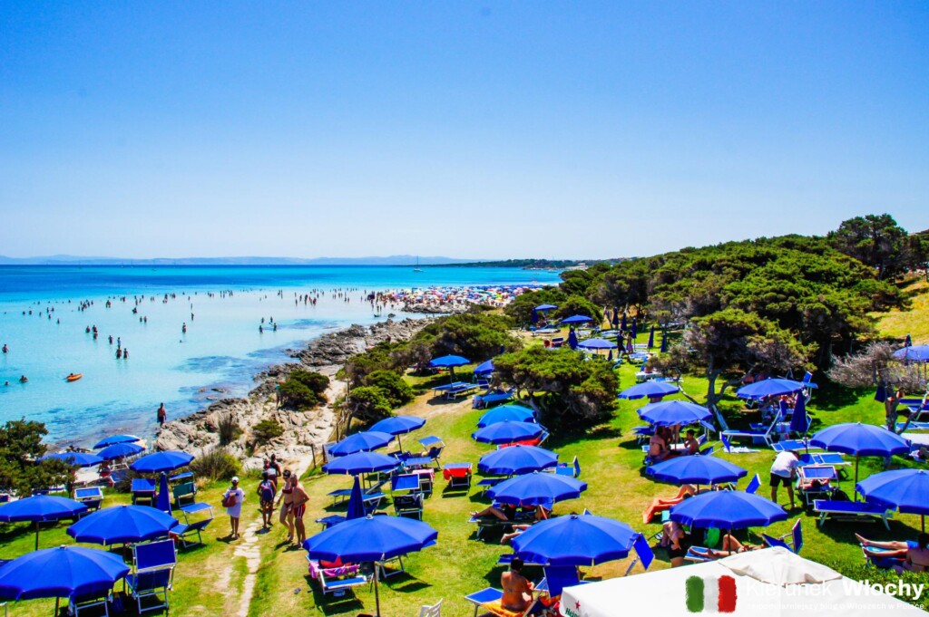 na plaży płatnej przy restauracji i barze La Pelosetta nie jest wymagana wcześniejsza rezerwacja, La Pelosa, Sardynia, Włochy (fot. Łukasz Ropczyński, kierunekwlochy.pl)