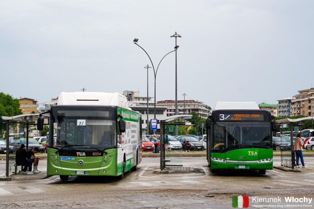autobusy komunikacji miejskiej w Pescarze (fot. Łukasz Ropczyński, kierunekwlochy.pl)