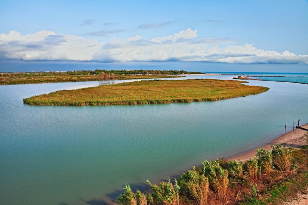 widok z wieży Torre Panoramica Foce dell'Adige na ujście rzeki Adygi do Adriatyku