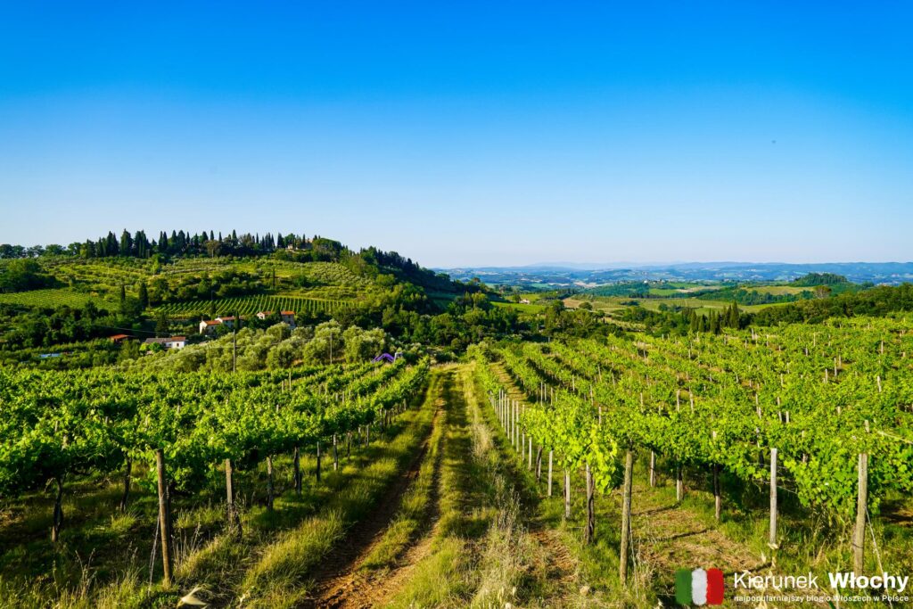 punkt widokowy na San Gimignano przy Strada Comunale Di Santa Lucia (fot. Łukasz Ropczyński, kierunekwlochy.pl)