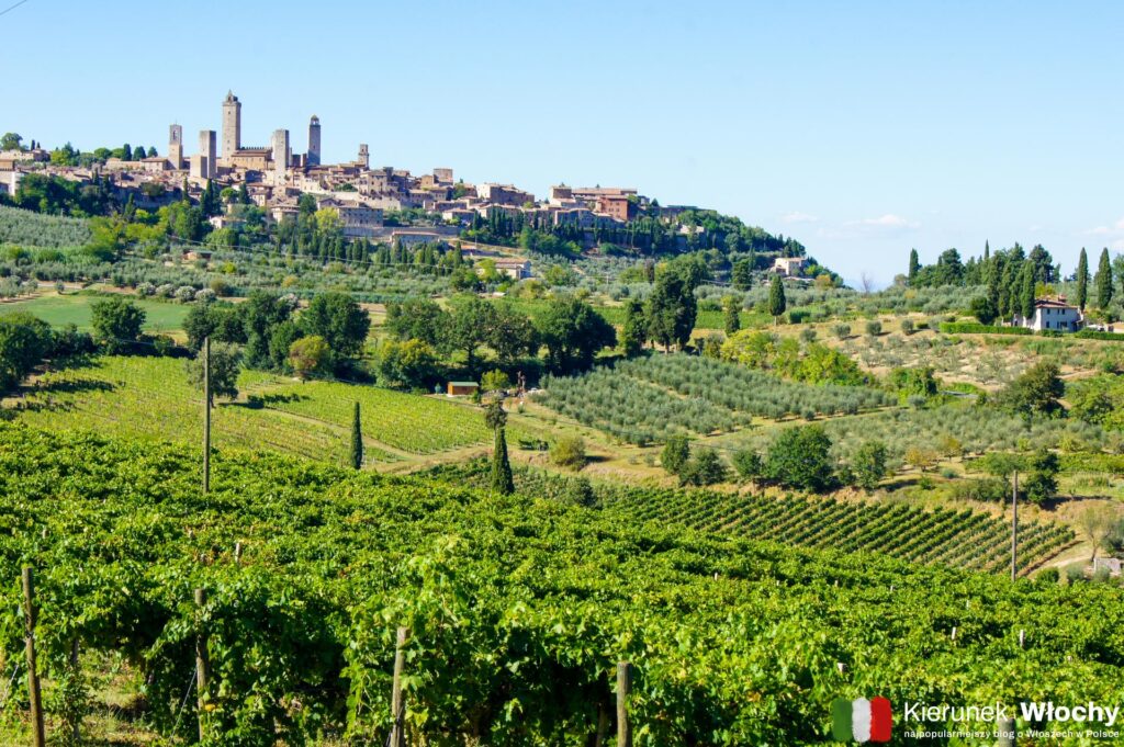 punkt widokowy na San Gimignano przy Strada Comunale Di Santa Lucia, Toskania, Włochy (fot. Łukasz Ropczyński, kierunekwlochy.pl)