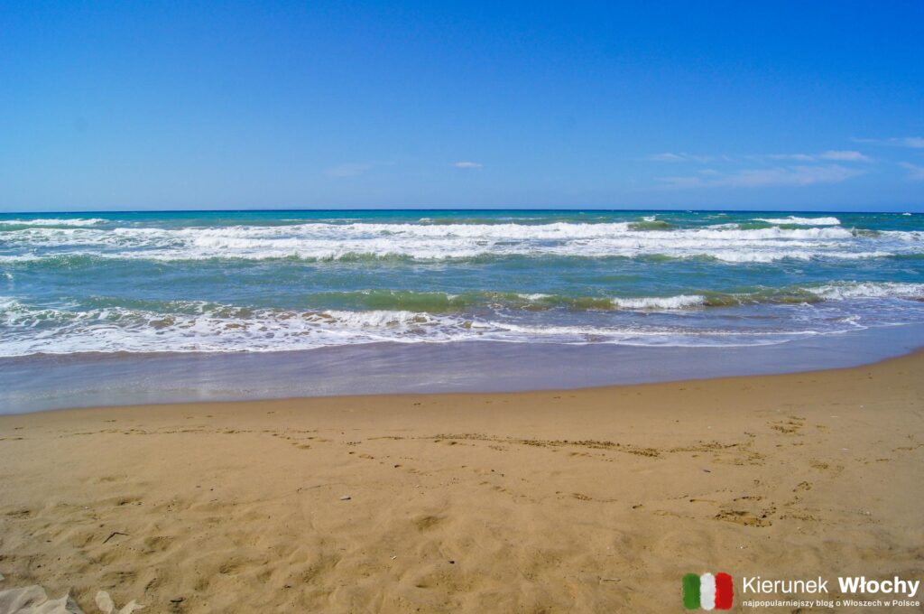 darmowa, dzika plaża w Parku Rimigliano, około 4 km od centrum San Vincenzo, Toskania, Włochy (fot. Łukasz Ropczyński, kierunekwlochy.pl)