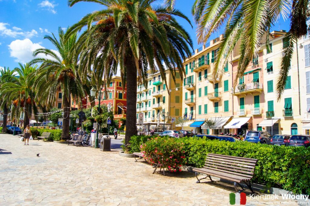 palmy rosnące wzdłuż promenady w Santa Margherita Ligure, Liguria, Włochy (fot. Łukasz Ropczyński, kierunekwlochy.pl)