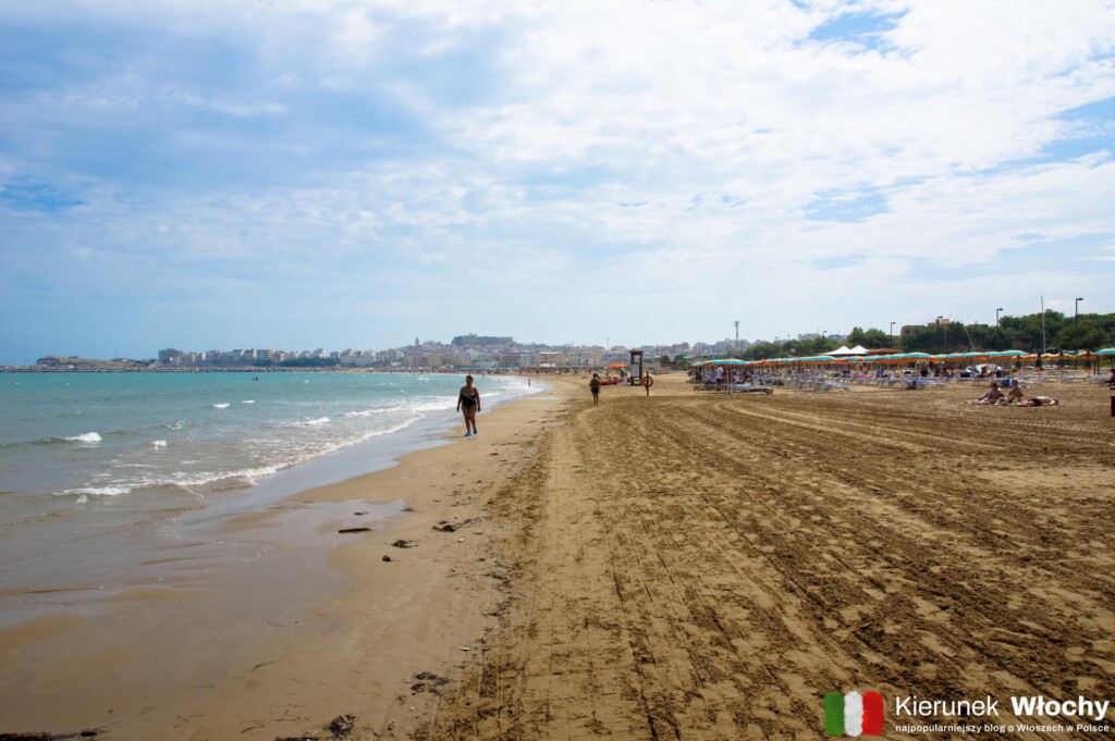 plaża San Lorenzo w Vieste, półwysep Gargano, Włochy (fot. Łukasz Ropczyński, kierunekwlochy.pl)