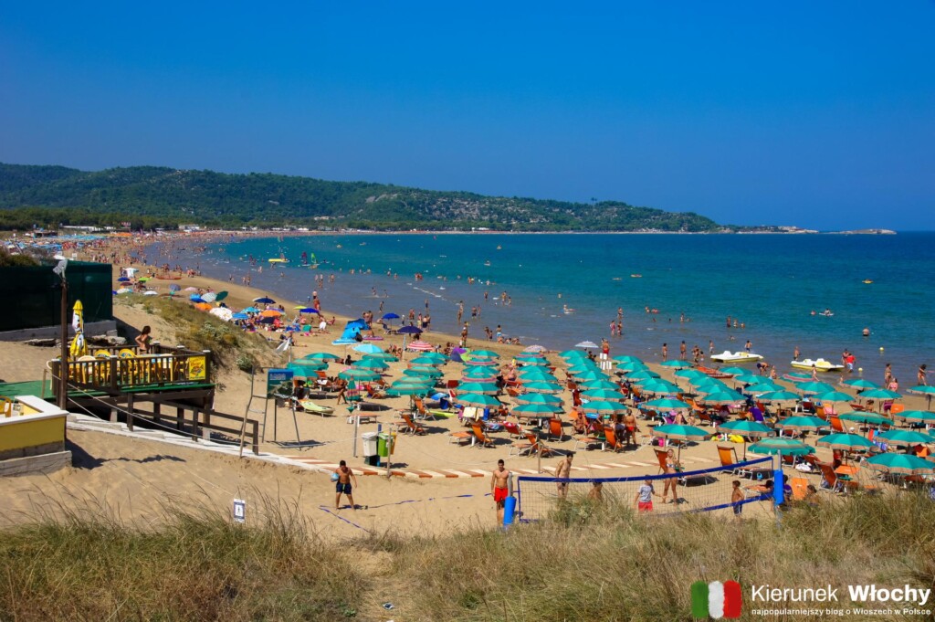 plaża Scialmarino koło Vieste, półwysep Gargano, Włochy (fot. Łukasz Ropczyński, kierunekwlochy.pl)