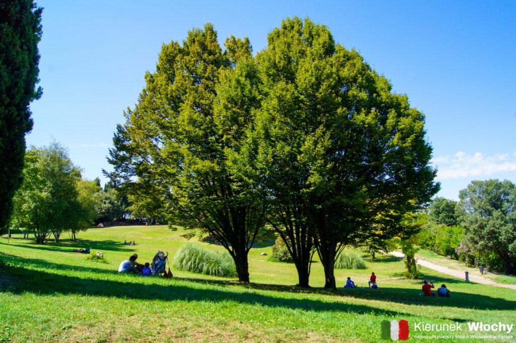 miejski park, Volterra, Toskania, Włochy (fot. Łukasz Ropczyński, kierunekwlochy.pl)