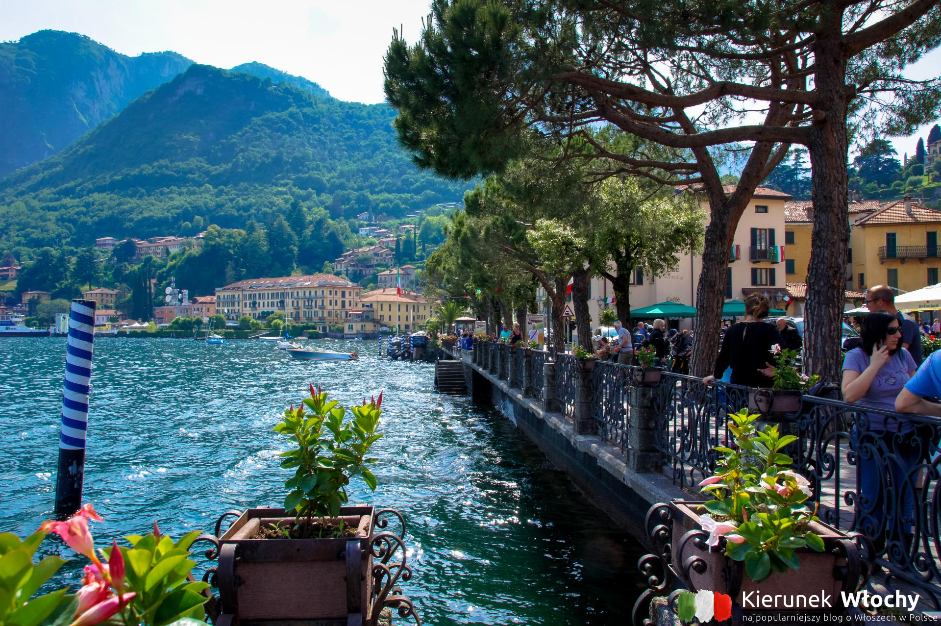 Menaggio – jedno z trzech najładniejszych miast nad jeziorem Como, Lombardia, Włochy (fot. Łukasz Ropczyński, kierunekwlochy.pl)