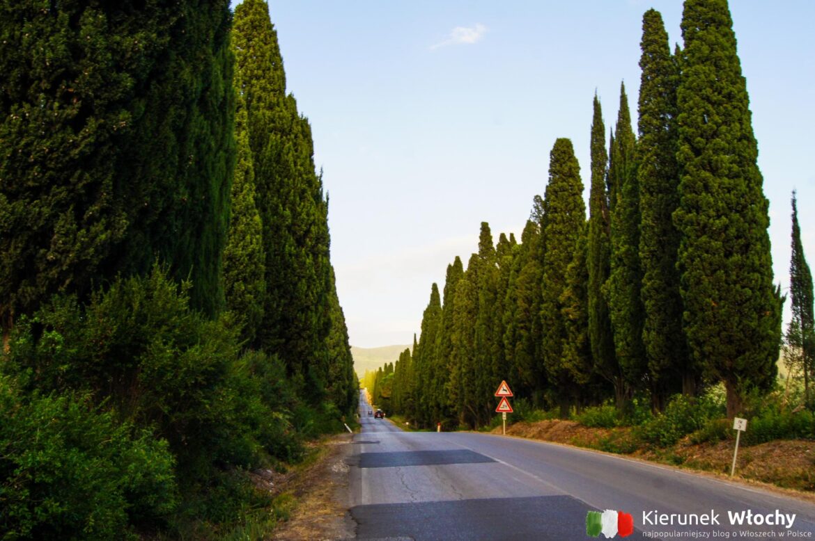 Bolgheri, Toskania, Włochy (fot. Łukasz Ropczyński, kierunekwlochy.pl)