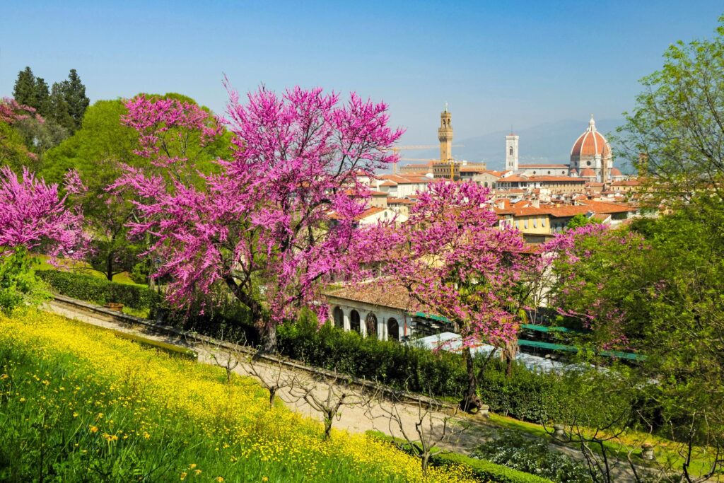 z Giardino Bardini rozpościera się panoramiczny widok na historyczne centrum Florencji