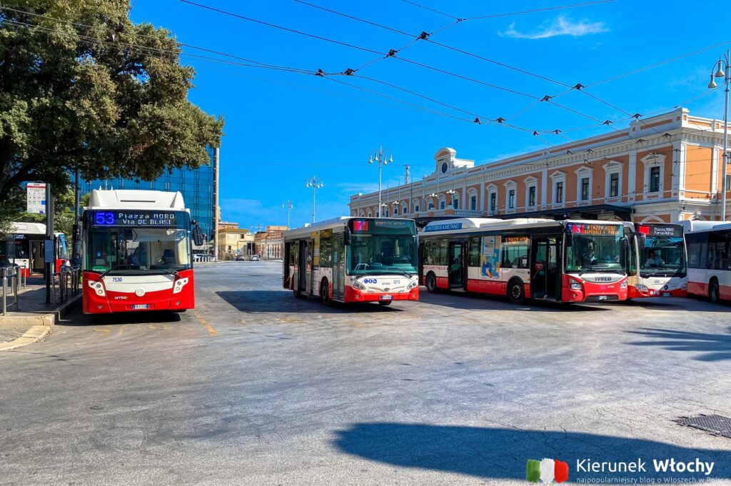 Autobusy komunikacji miejskiej AMTAB odjeżdżają sprzed lotniska i jadą aż do Piazza Moro tuż przed dworcem kolejowym Bari Centrale. Autobus to najtańszy sposób aby dostać się z lotniska do centrum Bari (fot. Łukasz Ropczyński, kierunekwlochy.pl)