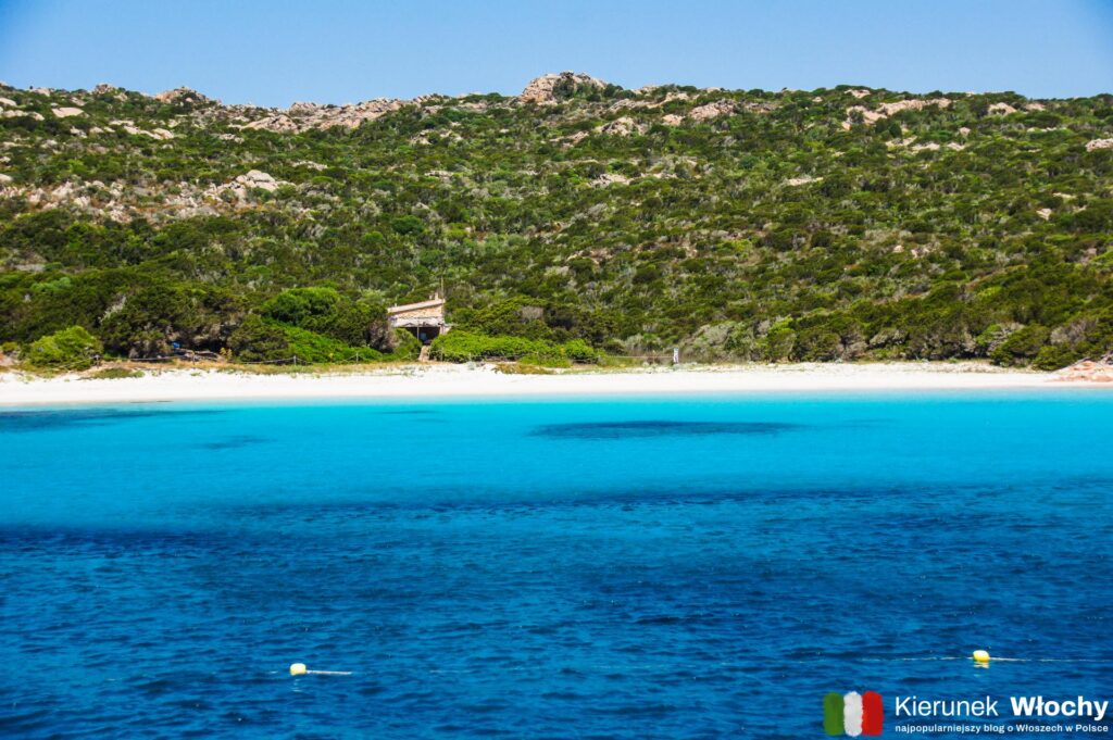 spiaggia Rosa na wyspie Budelli, archipelag La Maddalena, Sardynia, Włochy (fot. Łukasz Ropczyński, kierunekwlochy.pl)