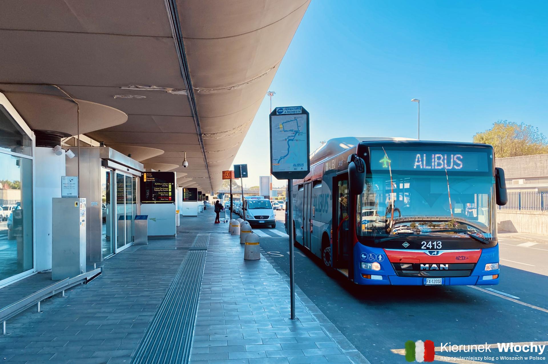 Jak dojechać z lotniska w Katanii do centrum miasta? Najwygodniej autobusem Alibus (fot. Łukasz Ropczyński, kierunekwlochy.pl)