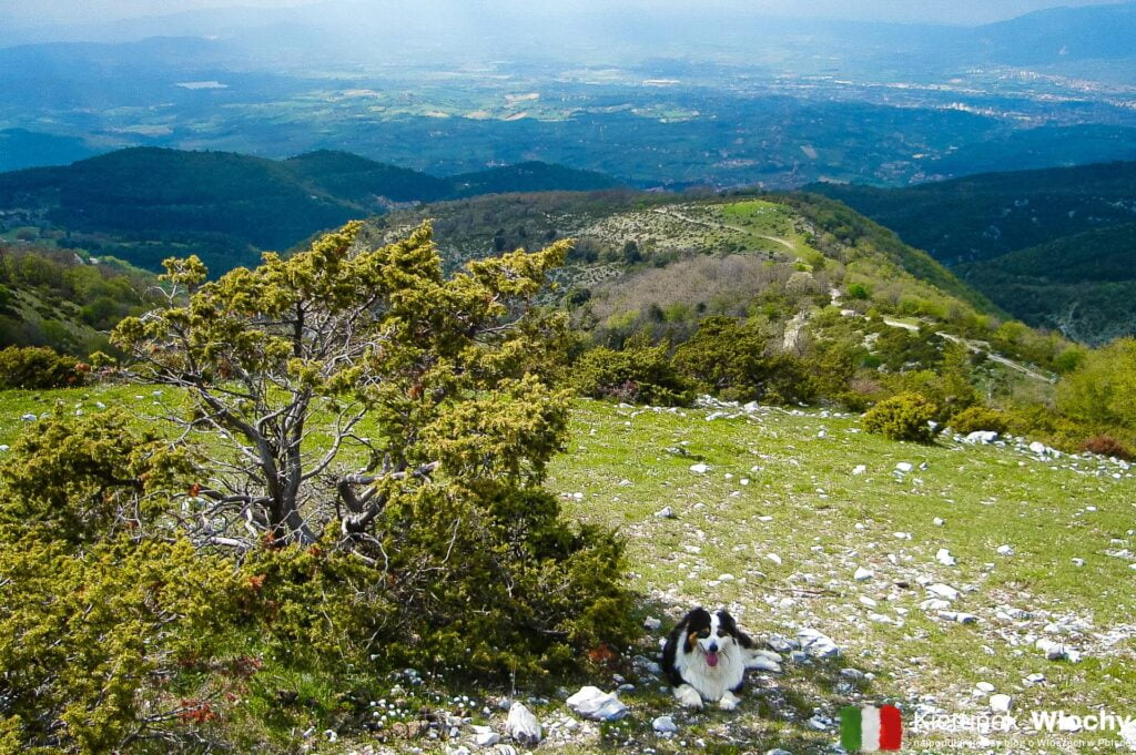 góry i łąki w pobliżu Stroncone, Umbria, Włochy (fot. Łukasz Ropczyński, kierunekwlochy.pl)