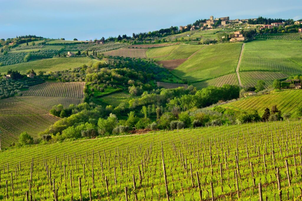 Chiantigiana to najbardziej malownicza trasa Toskanii, biegnie pomiędzy winnicami, a średniowiecznymi miastami