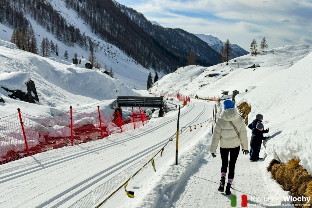na szlaku do schroniska Adleralm 1680 m n.p.m., dolina Ahrntal, Południowy Tyrol (fot. Łukasz Ropczyński, kierunekwlochy.pl)