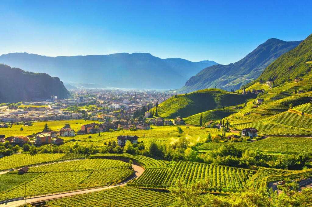 winnice wokół Bolzano - stolicy Południowego Tyrolu