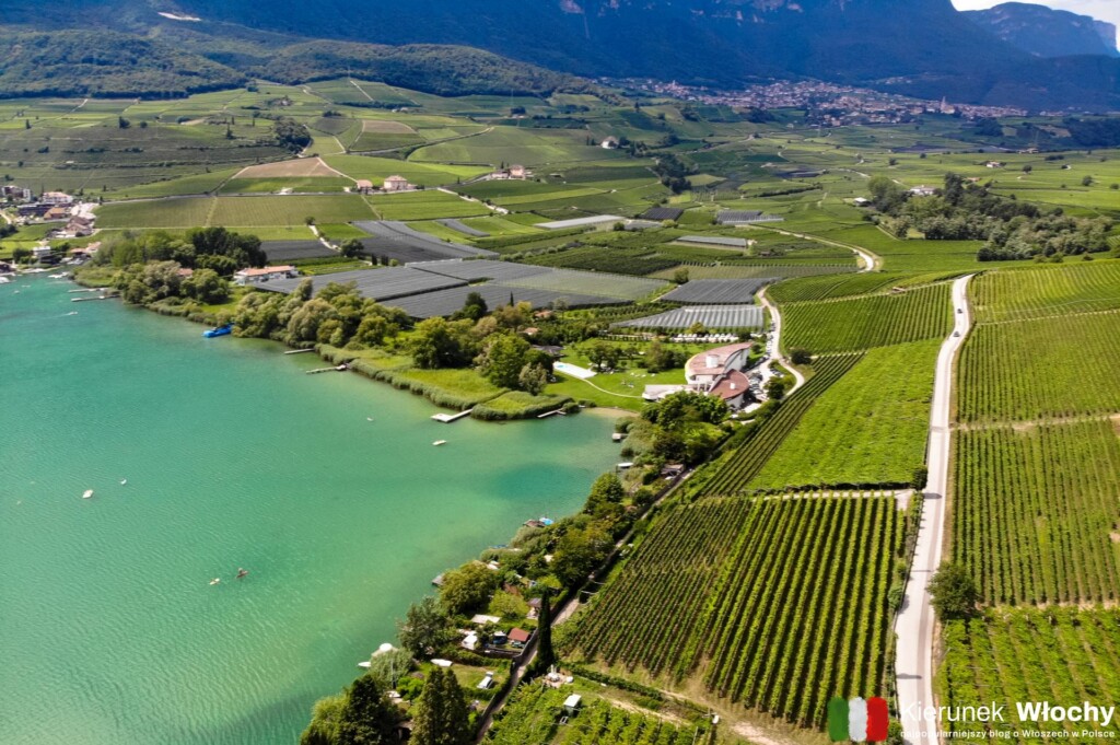 winnice nad jeziorem Caldaro, Południowy Tyrol, Włochy (fot. Łukasz Ropczyński, kierunekwlochy.pl)