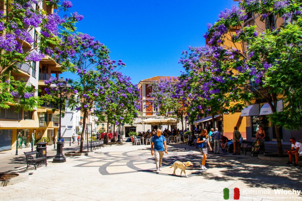 Piazza Regina Margherita, Olbia, Sardynia, Włochy (fot. Łukasz Ropczyński, kierunekwlochy.pl)
