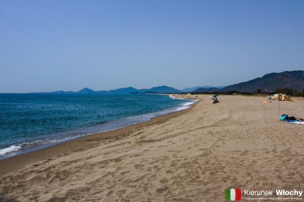 spiaggia di Porto Corallo, Sardynia, Włochy (fot. Łukasz Ropczyński, kierunekwlochy.pl)