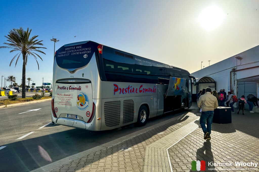 stanowisko odjazdu autobusów do centrum Palermo znajduje się po prawej stronie po wyjściu z lotniska, jak dojechać z lotniska w Palermo do centrum miasta (fot. Łukasz Ropczyński, kierunekwlochy.pl)