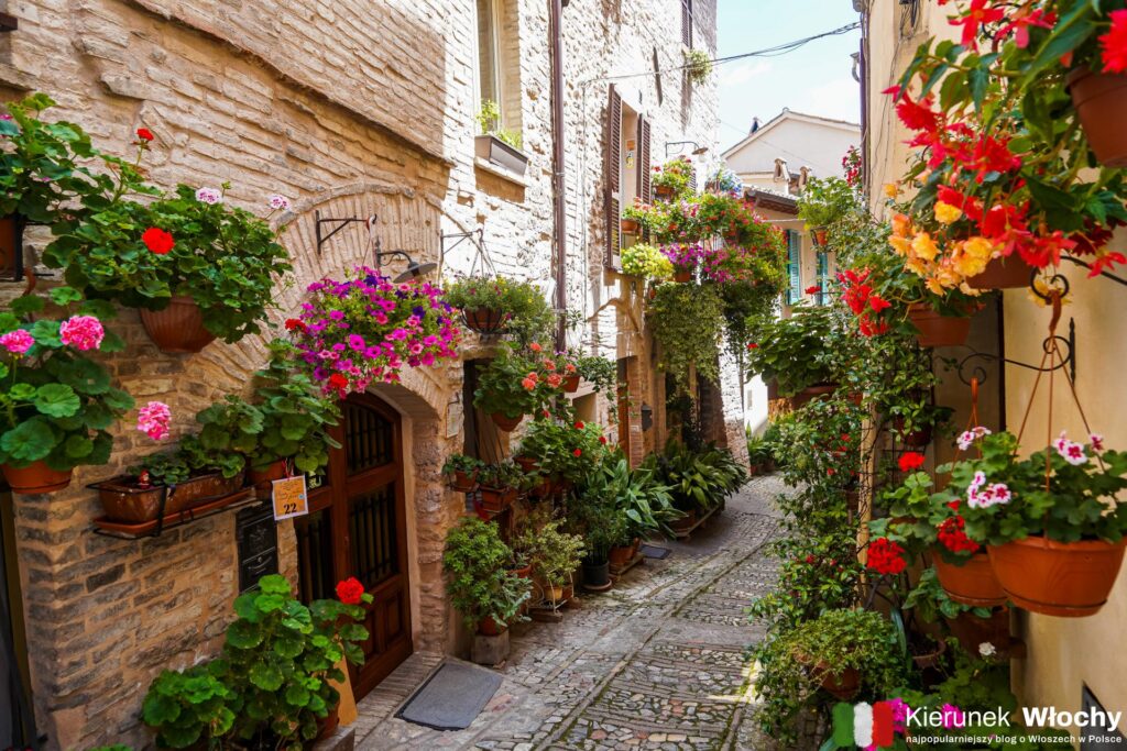 Spello, Umbria, Włochy (fot. Łukasz Ropczyński, kierunekwlochy.pl)