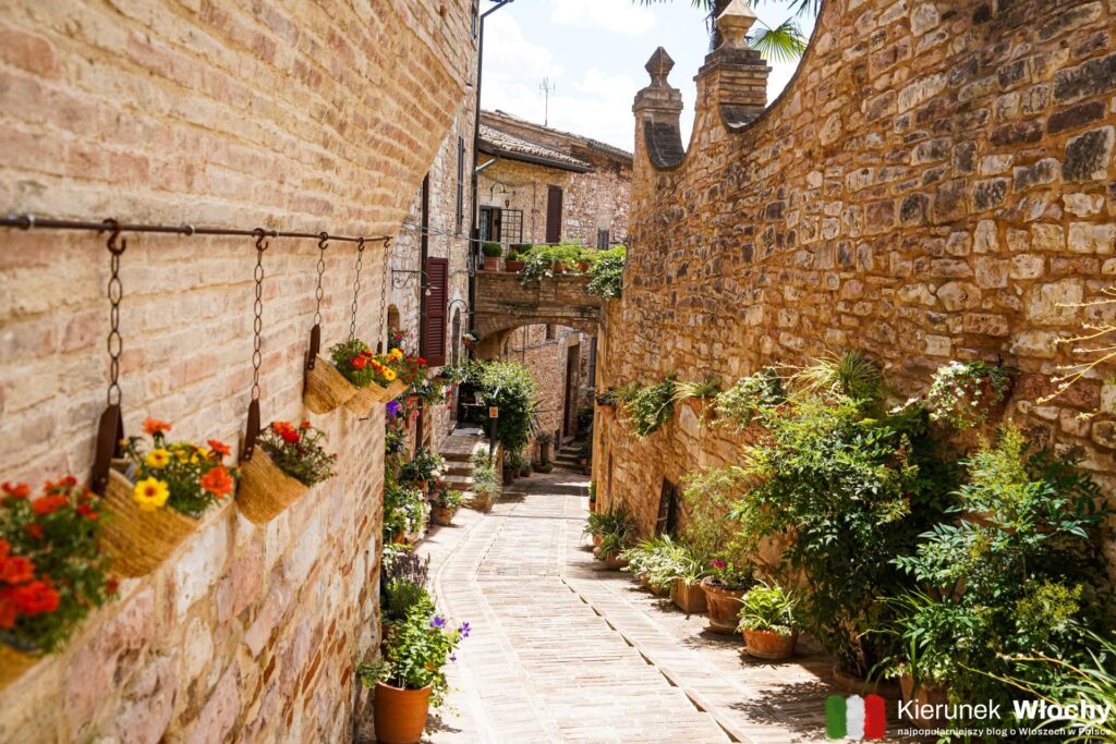 Spello, Umbria, Włochy (fot. Łukasz Ropczyński, kierunekwlochy.pl)
