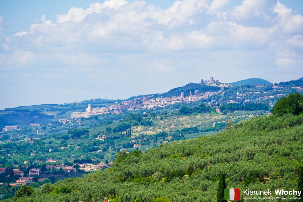 widok na Asyż z Belvedere, Spello, Umbria, Włochy (fot. Łukasz Ropczyński, kierunekwlochy.pl)