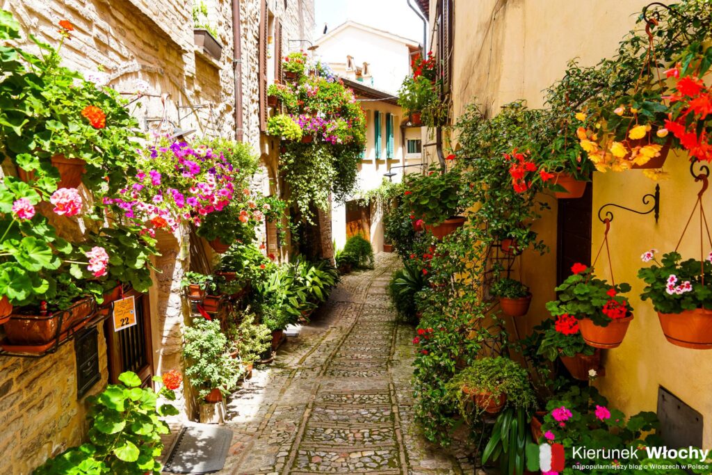 Via Borgo San Sisto jest jedną z najpiękniej ozdobionych uliczek w Spello, Umbria, Włochy (fot. Łukasz Ropczyński, kierunekwlochy.pl)