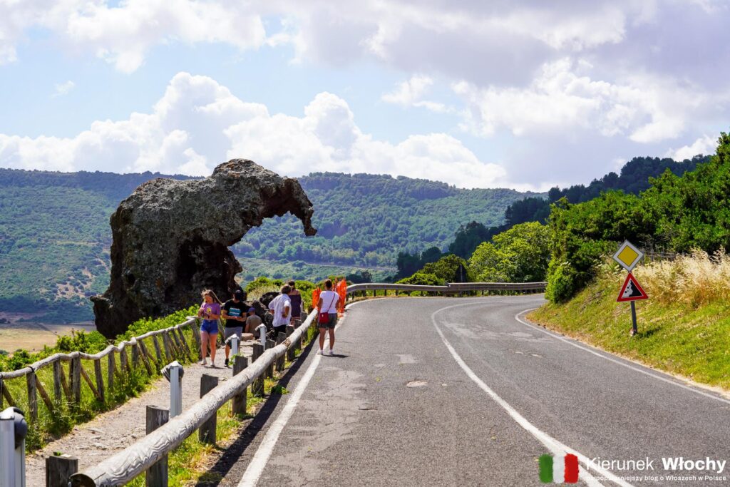 Roccia dell'elefante czyli skała, która kształtem przypomina słonia, okolice Castelsardo, Sardynia, Włochy (fot. Łukasz Ropczyński, kierunekwlochy.pl)