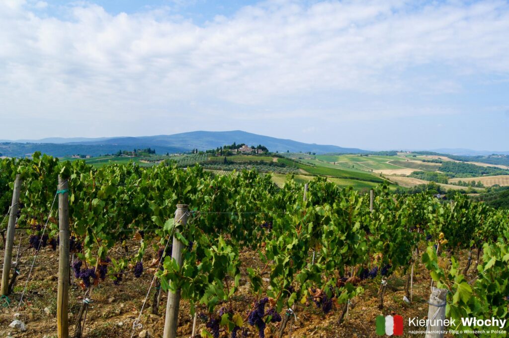 toskański region Chianti, Włochy (fot. Łukasz Ropczyński, kierunekwlochy.pl)