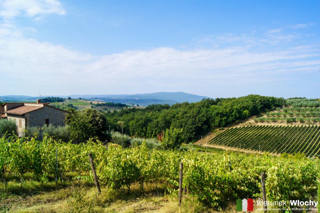 region Chianti, Toskania, Włochy (fot. Łukasz Ropczyński, kierunekwlochy.pl)